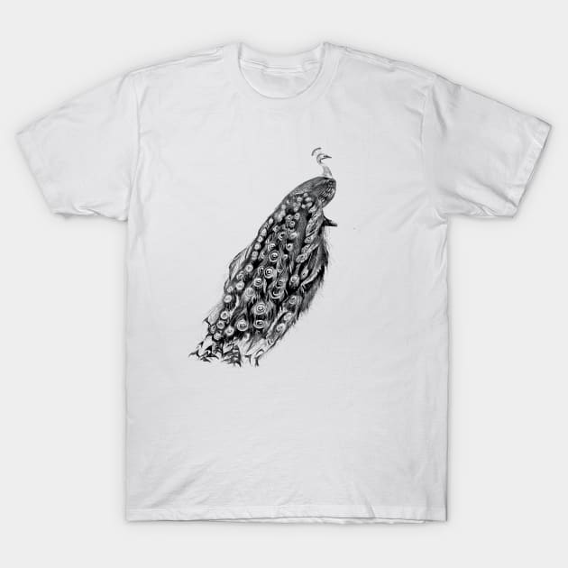 Black Peacock T-Shirt by KC Happy Shop